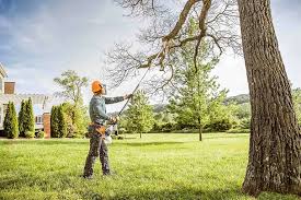 Best Emergency Tree Removal  in Sparta, IL